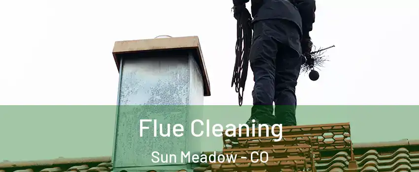 Flue Cleaning Sun Meadow - CO