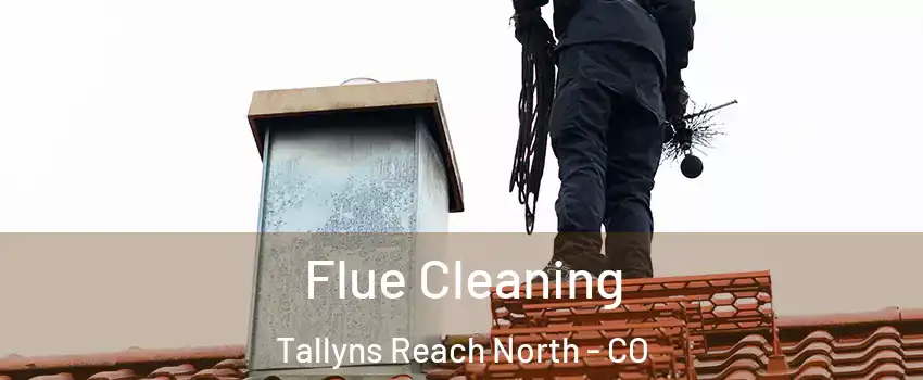 Flue Cleaning Tallyns Reach North - CO