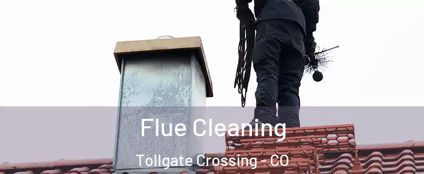 Flue Cleaning Tollgate Crossing - CO