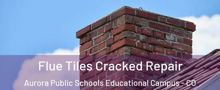 Flue Tiles Cracked Repair Aurora Public Schools Educational Campus - CO