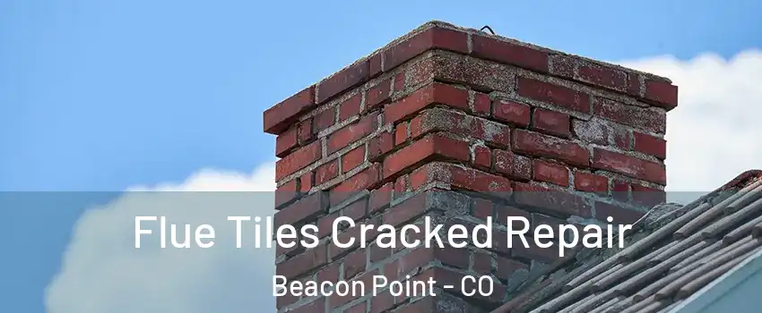 Flue Tiles Cracked Repair Beacon Point - CO