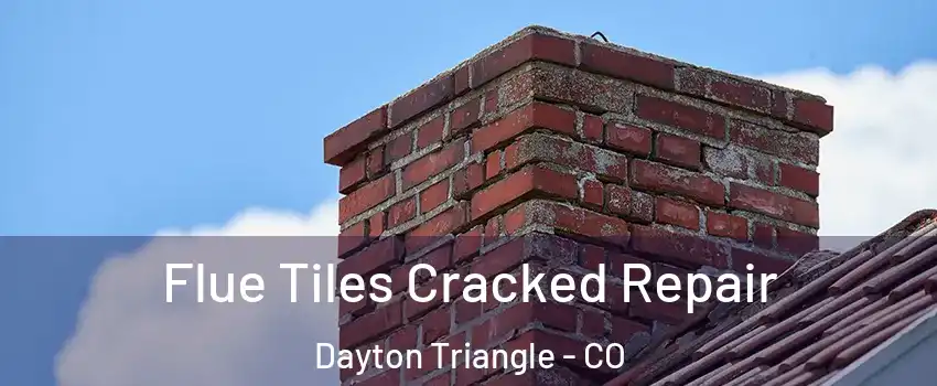 Flue Tiles Cracked Repair Dayton Triangle - CO