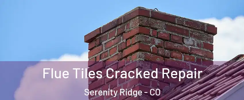 Flue Tiles Cracked Repair Serenity Ridge - CO