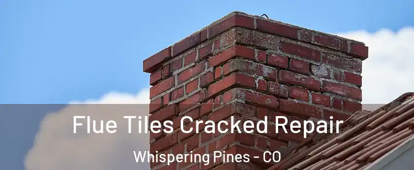 Flue Tiles Cracked Repair Whispering Pines - CO