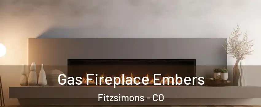 Gas Fireplace Embers Fitzsimons - CO