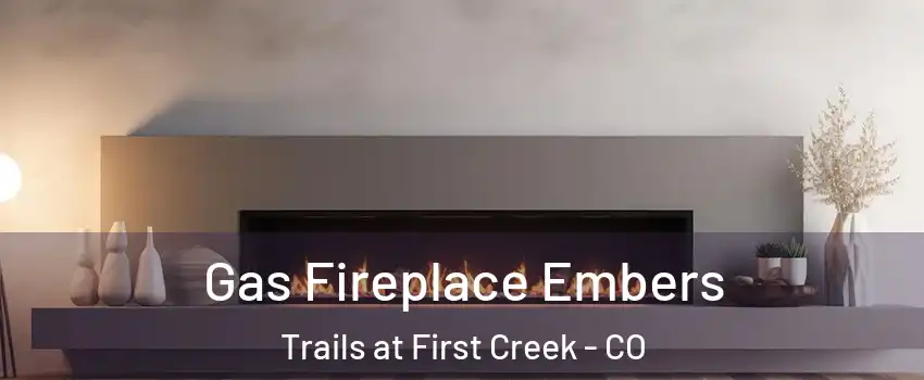 Gas Fireplace Embers Trails at First Creek - CO