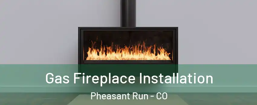 Gas Fireplace Installation Pheasant Run - CO