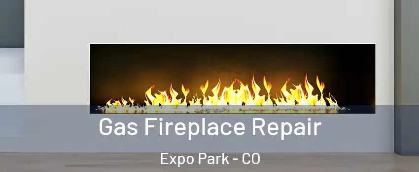 Gas Fireplace Repair Expo Park - CO