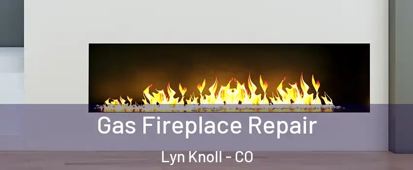 Gas Fireplace Repair Lyn Knoll - CO