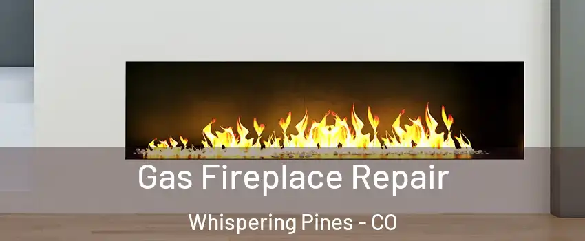 Gas Fireplace Repair Whispering Pines - CO