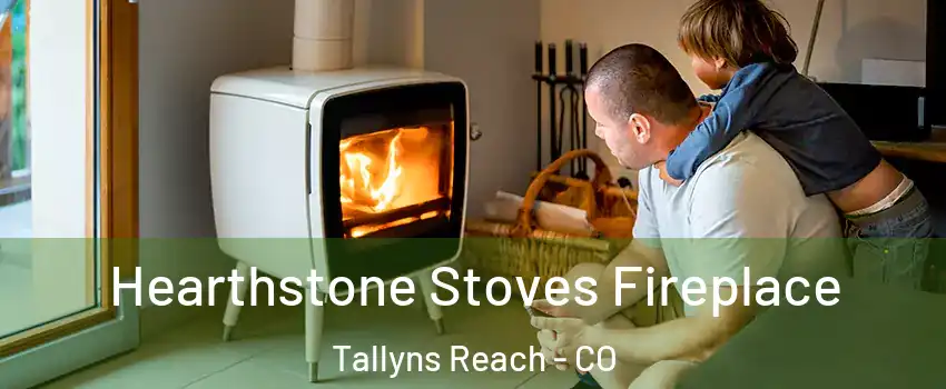 Hearthstone Stoves Fireplace Tallyns Reach - CO