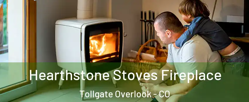 Hearthstone Stoves Fireplace Tollgate Overlook - CO