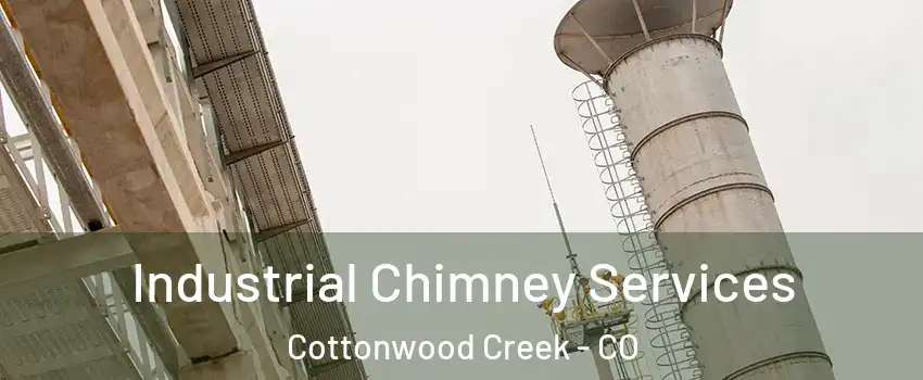 Industrial Chimney Services Cottonwood Creek - CO