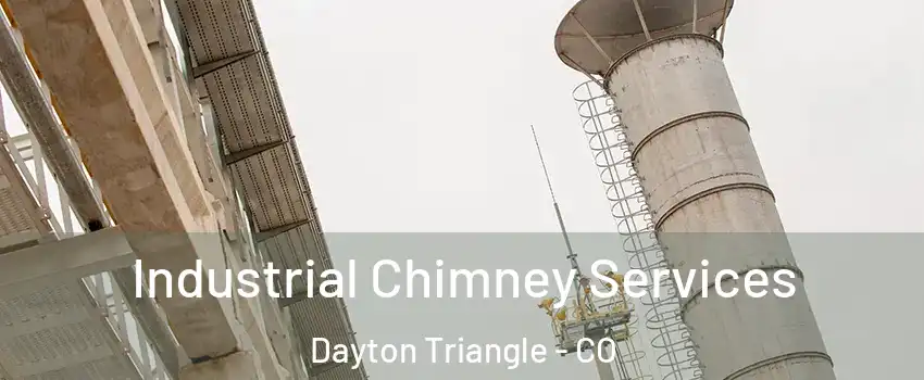 Industrial Chimney Services Dayton Triangle - CO