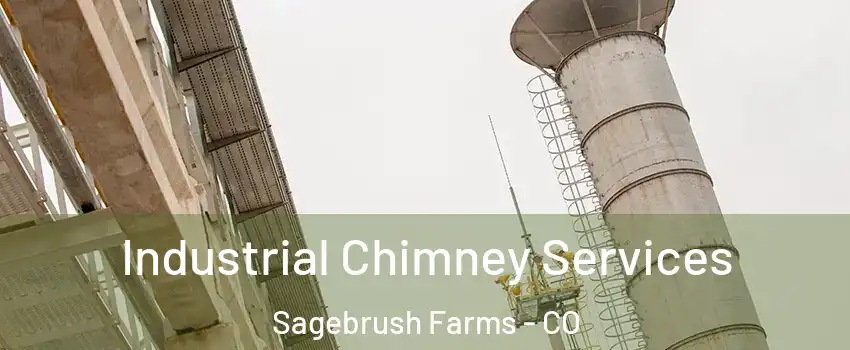 Industrial Chimney Services Sagebrush Farms - CO