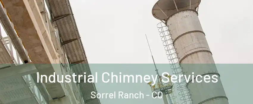 Industrial Chimney Services Sorrel Ranch - CO