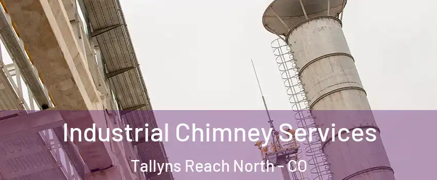 Industrial Chimney Services Tallyns Reach North - CO