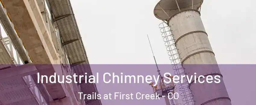 Industrial Chimney Services Trails at First Creek - CO