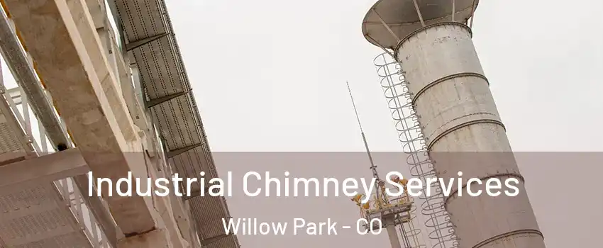 Industrial Chimney Services Willow Park - CO