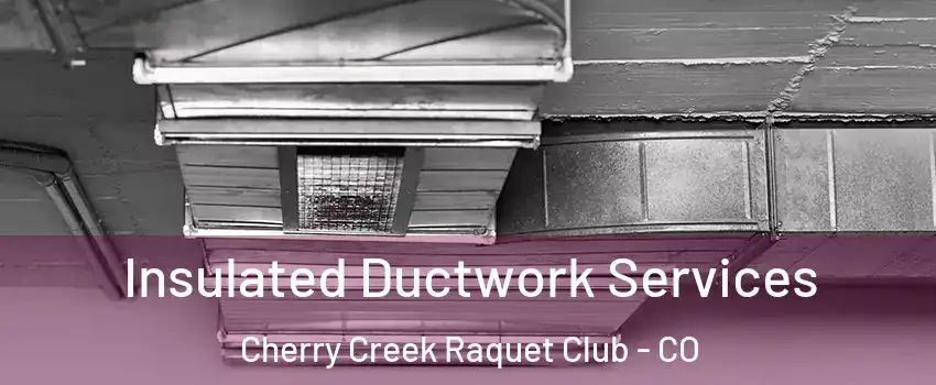 Insulated Ductwork Services Cherry Creek Raquet Club - CO