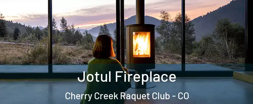 Jotul Fireplace Cherry Creek Raquet Club - CO