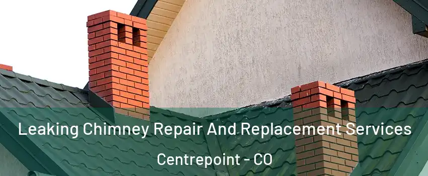 Leaking Chimney Repair And Replacement Services Centrepoint - CO