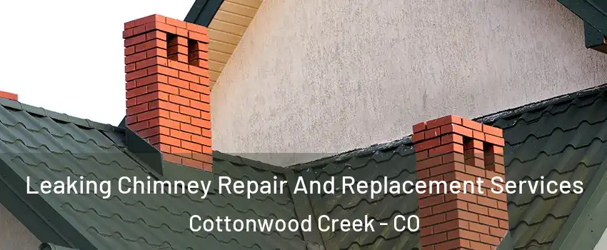 Leaking Chimney Repair And Replacement Services Cottonwood Creek - CO