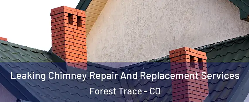 Leaking Chimney Repair And Replacement Services Forest Trace - CO