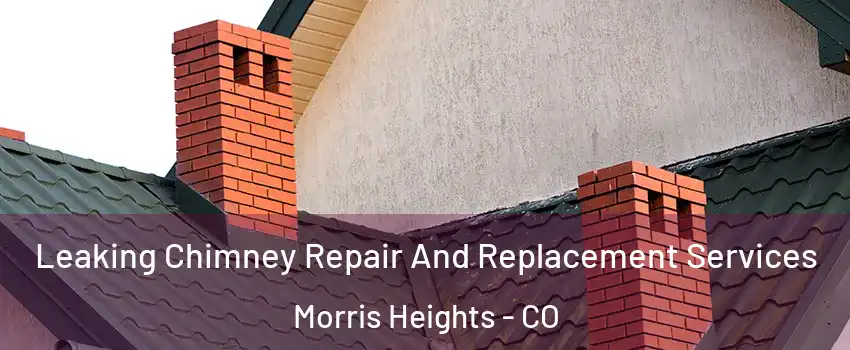 Leaking Chimney Repair And Replacement Services Morris Heights - CO