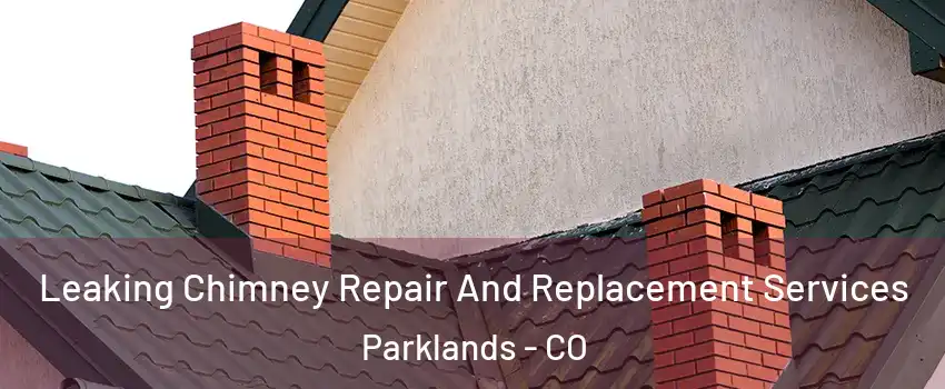 Leaking Chimney Repair And Replacement Services Parklands - CO