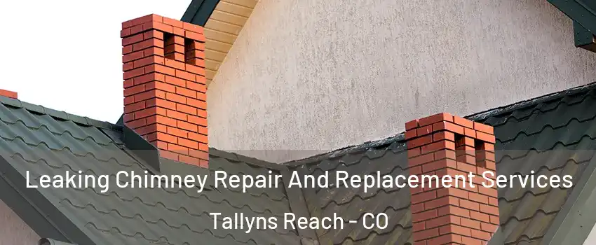 Leaking Chimney Repair And Replacement Services Tallyns Reach - CO