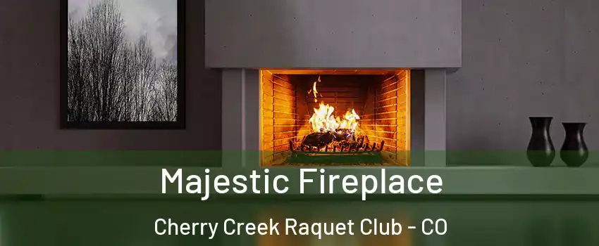 Majestic Fireplace Cherry Creek Raquet Club - CO