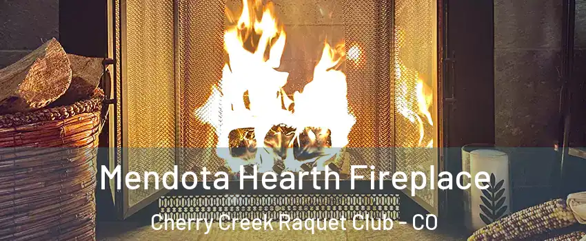 Mendota Hearth Fireplace Cherry Creek Raquet Club - CO