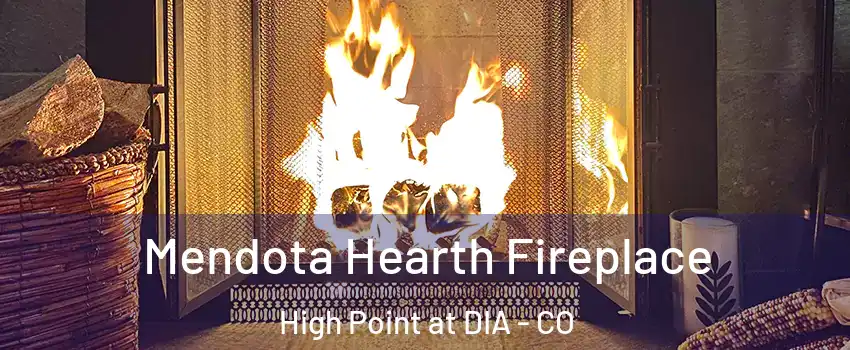 Mendota Hearth Fireplace High Point at DIA - CO