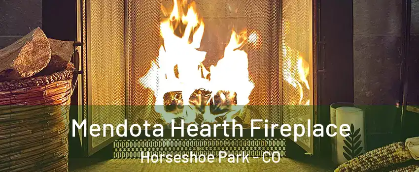 Mendota Hearth Fireplace Horseshoe Park - CO