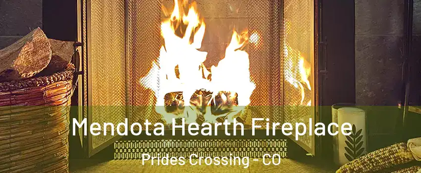 Mendota Hearth Fireplace Prides Crossing - CO