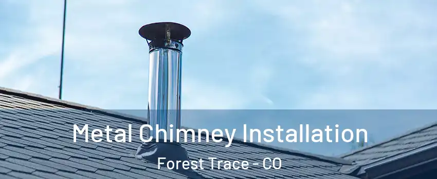 Metal Chimney Installation Forest Trace - CO