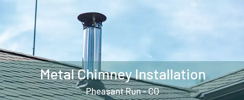 Metal Chimney Installation Pheasant Run - CO