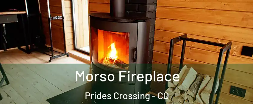 Morso Fireplace Prides Crossing - CO