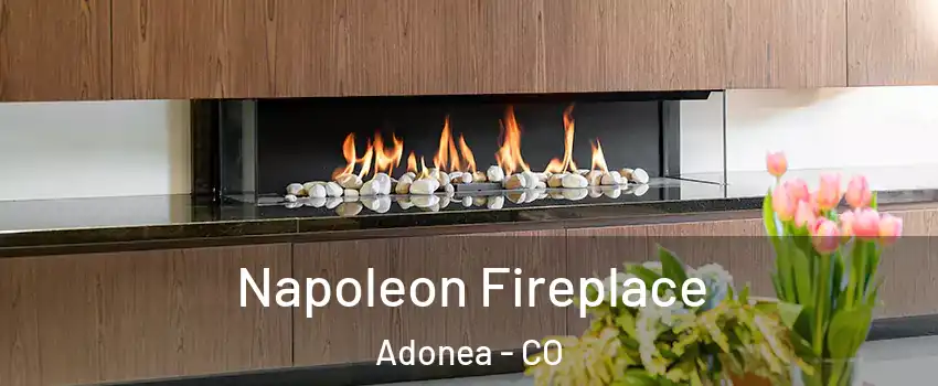 Napoleon Fireplace Adonea - CO