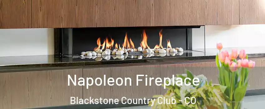 Napoleon Fireplace Blackstone Country Club - CO