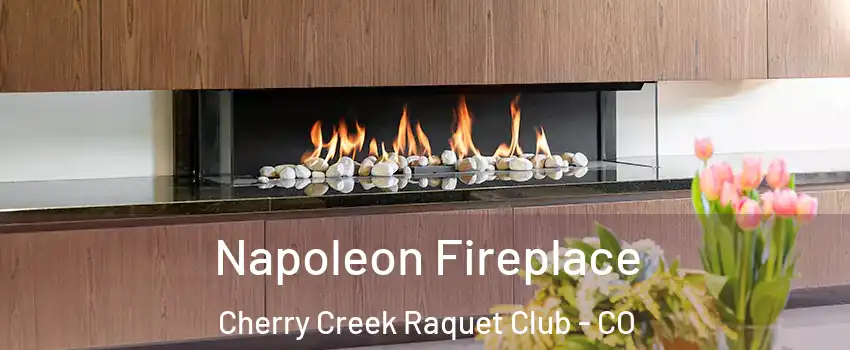 Napoleon Fireplace Cherry Creek Raquet Club - CO