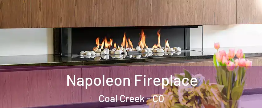 Napoleon Fireplace Coal Creek - CO