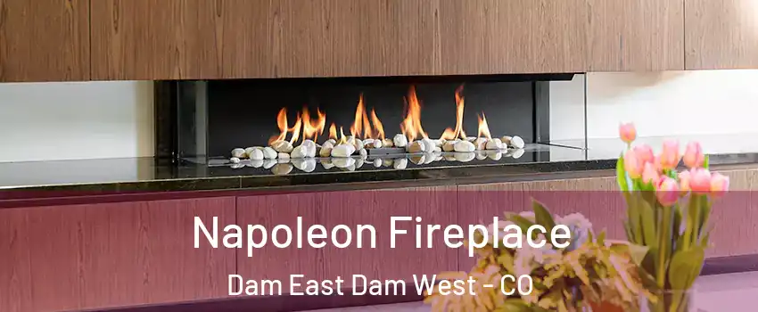 Napoleon Fireplace Dam East Dam West - CO