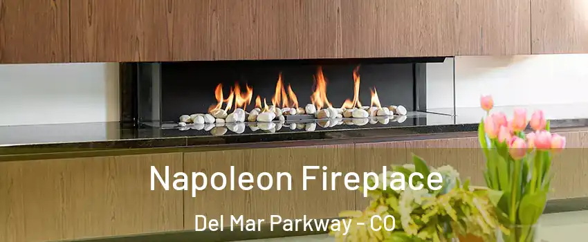 Napoleon Fireplace Del Mar Parkway - CO