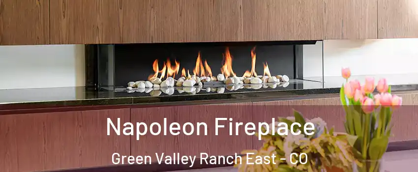 Napoleon Fireplace Green Valley Ranch East - CO