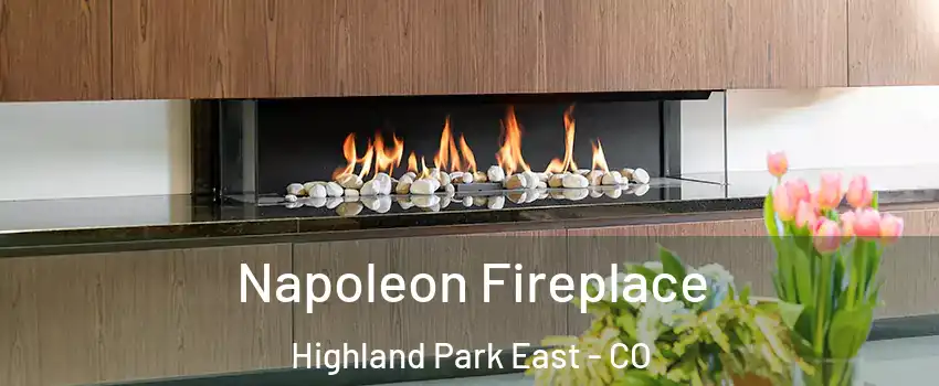 Napoleon Fireplace Highland Park East - CO