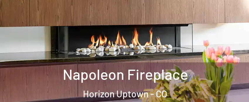 Napoleon Fireplace Horizon Uptown - CO