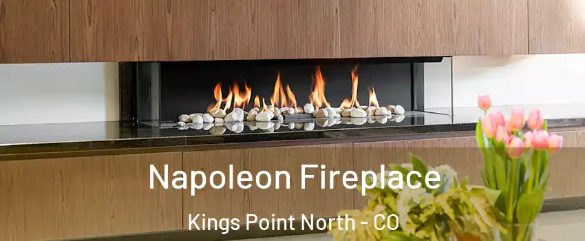 Napoleon Fireplace Kings Point North - CO