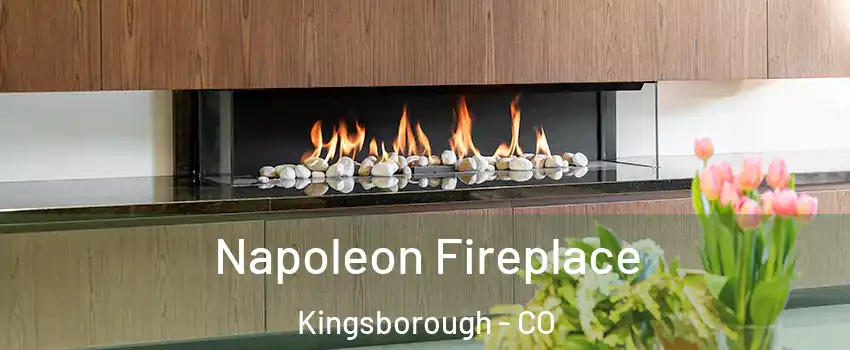 Napoleon Fireplace Kingsborough - CO